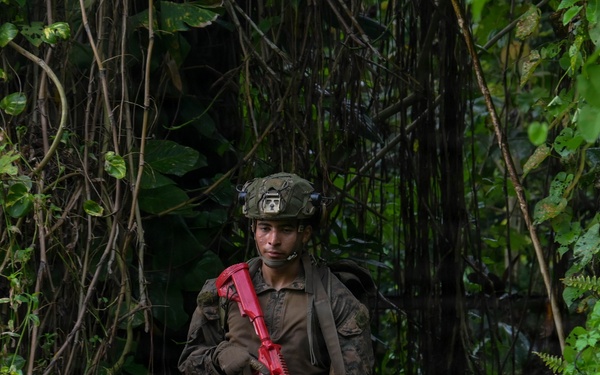 DELAYEN 26: MRF-D Marines, French soldiers participate in endurance course