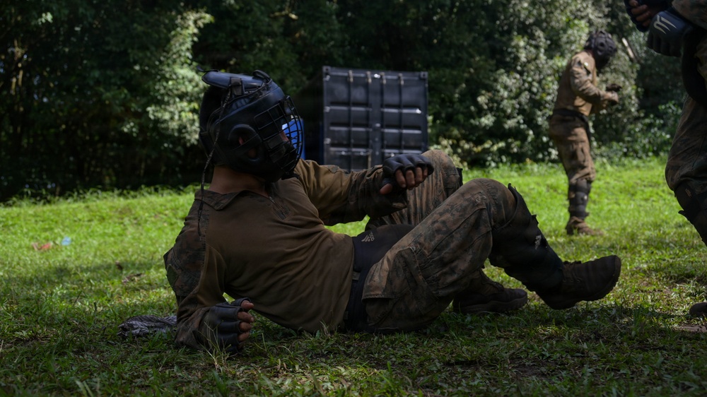 DELAYEN 26: MRF-D Marines, French soldiers exchange martial arts