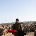 A military training exercise is taking place on a sandy outdoor area, likely a Marine Corps base given the MARPAT camouflage uniforms visible throughout. A central figure wearing a Bauer hockey-style helmet with face cage, plate carrier vest, and camouflage uniform holds padded training equipment (red and black striking pads). A large group of uniformed personnel observes from the background in a semicircle formation.