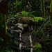 DELAYEN 26: MRF-D Marines, French soldiers participate in endurance course