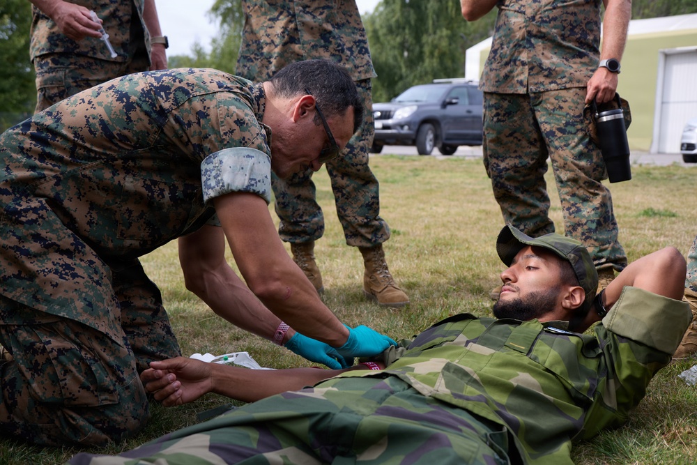 A military medical training exercise is taking place outdoors on a grass field. A service member in MARPAT digital camouflage uniform is providing medical treatment to a soldier lying on the ground wearing a different camouflage pattern (appears to be Swedish M90 woodland). Several other uniformed personnel are observing the procedure in the background.