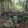 The image shows military personnel in full combat gear operating in a dense woodland environment. At least three soldiers are visible navigating through rocky, moss-covered terrain with fallen trees and leaf-covered ground. They appear to be conducting a field training exercise or tactical operation, carrying equipment and supplies.