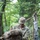 A U.S. Army soldier in Operational Camouflage Pattern (OCP) uniform and boonie hat kneels on a forest trail while adjusting or securing a large military rucksack. The soldier appears to be in a wooded training or operational environment with dense green foliage in the background. Face paint is visible on the soldier's face, suggesting a field training exercise or tactical operation.
