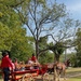 A bright red horse-drawn wagon associated with 'FT Riley Mounted Color Guard' carries a group of passengers along a dirt path surrounded by trees. Two individuals wearing red shirts and black cowboy hats appear to be guides or handlers accompanying the wagon. The scene appears to be a recreational or ceremonial wagon ride taking place outdoors in a park-like setting.