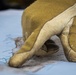 A gloved hand points to a location on a topographic map. The glove appears to be a tan/olive-colored tactical or work glove with leather reinforcement on the fingertips and palm. The image is a close-up shot with shallow depth of field, keeping the pointing finger and map in focus.