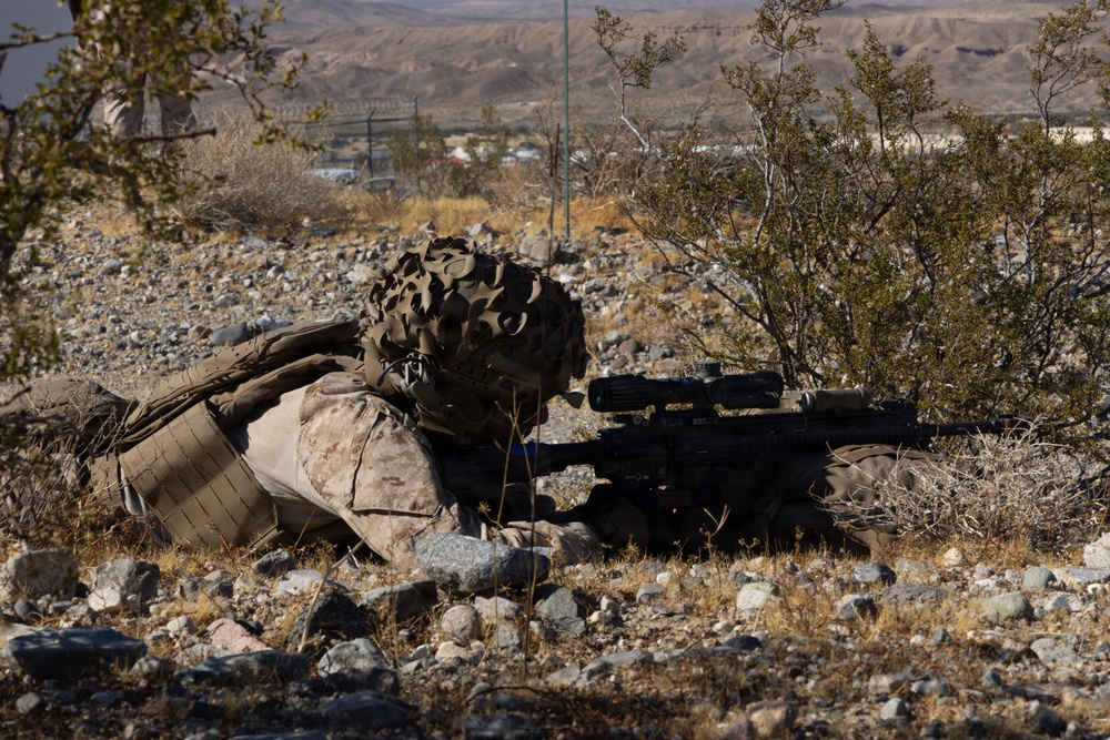 13th MEU | BLT 2/4 Executes a Vertical Assault Raid
