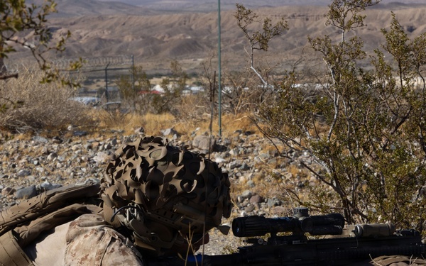 13th MEU | BLT 2/4 Executes a Vertical Assault Raid