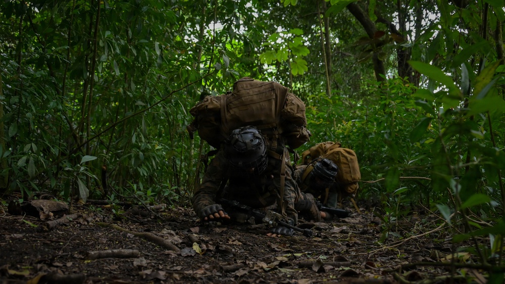 Two military personnel in full tactical gear are low-crawling through dense jungle undergrowth. They are wearing helmets and carrying large rucksacks, suggesting a training exercise or patrol movement through a tropical forest environment. The image is taken at ground level, emphasizing the low-profile movement technique being employed.