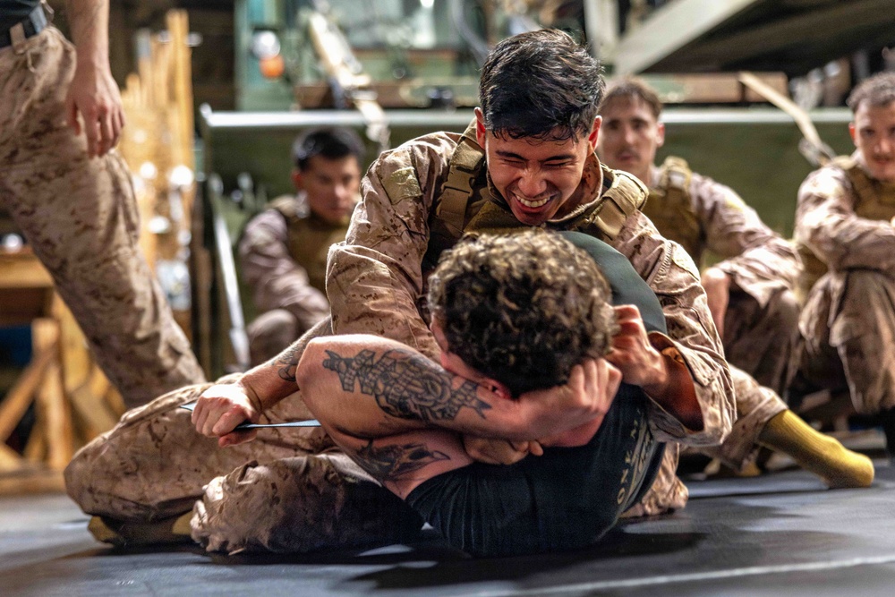 Military personnel in desert camouflage uniforms are engaged in a ground combat/grappling training exercise on a mat. One uniformed service member is on top of another who is shirtless, applying a hold while smiling. Several other uniformed personnel observe from the background in what appears to be an indoor military facility.