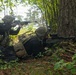 Two armed personnel in tactical gear are positioned in a wooded area, taking up defensive or offensive firing positions behind a large tree. One individual is prone on the ground aiming a long-barreled rifle with a scope, while the second is in a kneeling position aiming a shorter carbine-style rifle. Both wear multicam/camouflage plate carriers, helmets with mounted accessories, and black base layers.