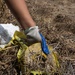 A gloved hand is picking up litter from dry, overgrown vegetation. The person is wearing a two-toned work glove (gray and blue with a green cuff) and is collecting a crumpled yellow plastic bag along with what appears to be white foam/styrofoam debris. This appears to be a environmental cleanup or litter removal activity in a dry, grassy outdoor area.