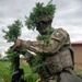 A soldier in full camouflage, including natural vegetation (ghillie-style foliage) attached to their uniform and helmet, kneels in a grassy field while attaching or adjusting foliage to their rifle. The soldier's face is painted dark for concealment, and they wear a 'Region 4 Best Warrior' patch on their left shoulder. This appears to be a military camouflage or stalking competition/training exercise.