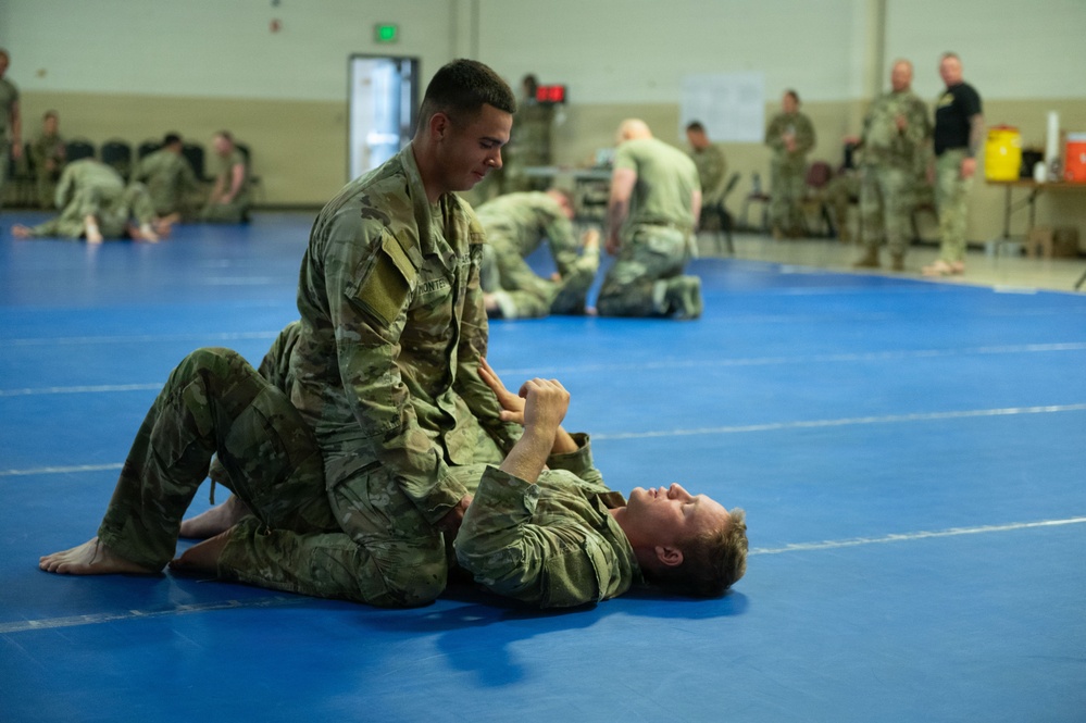 Military personnel are engaged in combatives (hand-to-hand combat) training on blue mats inside a gymnasium or training facility. In the foreground, one soldier in camouflage uniform has mounted another soldier who is on his back, simulating a ground fighting technique. Multiple other pairs of soldiers are practicing similar techniques in the background.