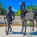 A bronze statue memorial depicting a Buffalo Soldier leading a horse, dedicated to Congressional Medal of Honor Recipient William H. Thompkins. The monument is part of a larger memorial complex honoring the U.S. Army 9th and 10th Cavalry regiments, known as the Buffalo Soldiers. The setting features a curved white wall with unit mottos and insignia, surrounded by lush green trees under a bright blue sky.