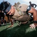 A man is performing push-ups on artificial turf while wearing a tactical/military-style weighted vest or ruck pack over a tan t-shirt. He is also wearing a black headband and a digital sports watch on his right wrist. The image appears to be taken at an outdoor fitness event or military-style competition with other participants visible in the background.