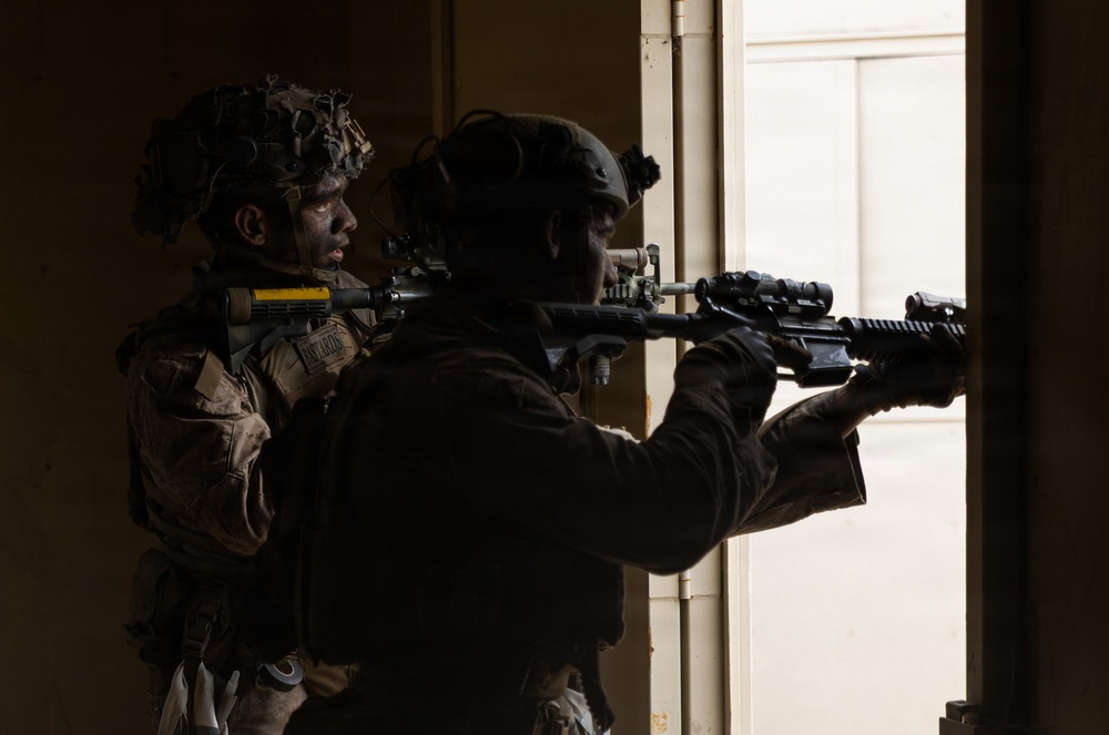 Two military personnel in tactical gear are conducting a building entry or clearing operation at a doorway. One soldier is visible in profile with camouflage face paint and a helmet with attachments, while the second is silhouetted aiming a rifle through a partially open door. The high-contrast lighting from the doorway creates a dramatic silhouette effect.