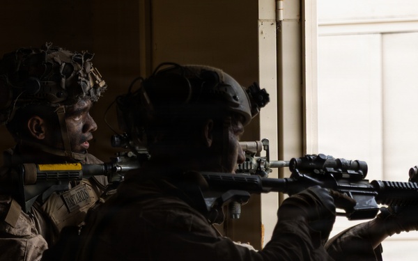 13th MEU | LAR Co. Executes an Amphibious Assault