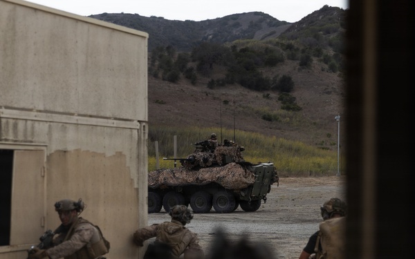 13th MEU | LAR Co. Executes an Amphibious Assault