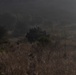 A military armored vehicle is visible in the middle distance, partially obscured by dry grassland and sparse vegetation. The image is taken in low-light or hazy conditions, giving the scene a dark, atmospheric quality. Multiple antenna-like protrusions are visible on top of the vehicle, and what appear to be personnel are present on or near it.