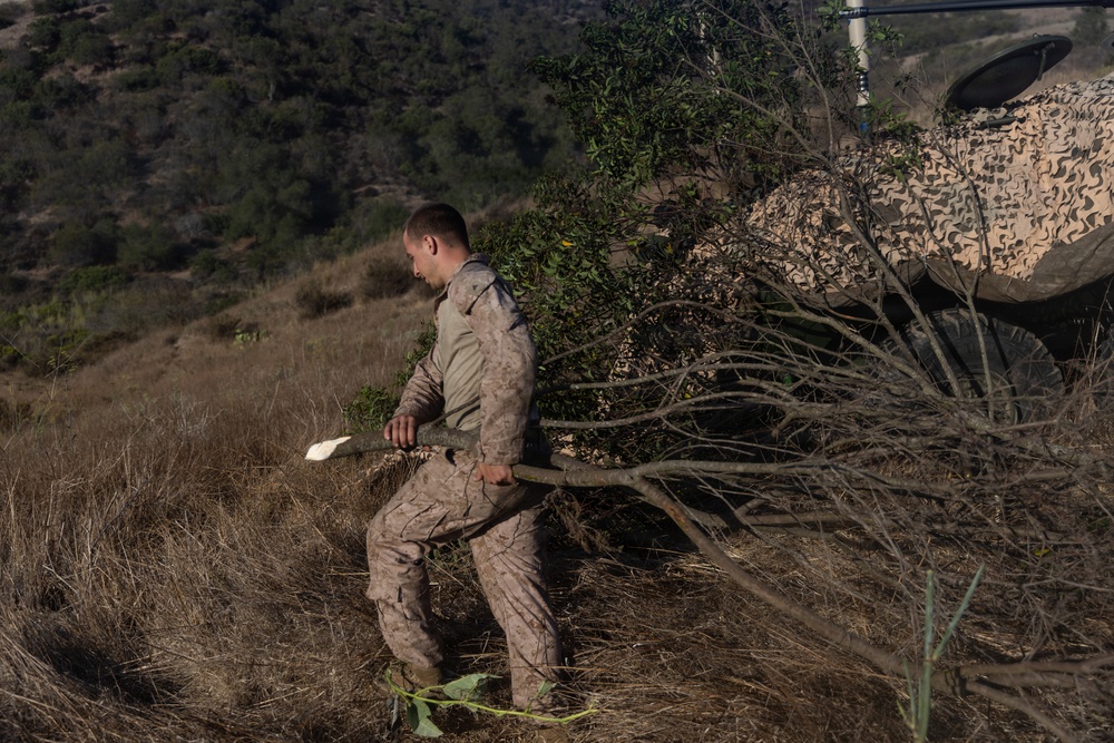 A military service member in desert camouflage (MARPAT) uniform is handling cut tree branches in a dry, hilly terrain. The soldier appears to be placing or arranging natural vegetation against a camouflage-netted military vehicle, likely for concealment purposes. The setting appears to be a training or field exercise environment based on the terrain and equipment visible.