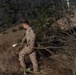 A military service member in desert camouflage (MARPAT) uniform is handling cut tree branches in a dry, hilly terrain. The soldier appears to be placing or arranging natural vegetation against a camouflage-netted military vehicle, likely for concealment purposes. The setting appears to be a training or field exercise environment based on the terrain and equipment visible.