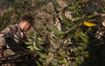 13th MEU | LAR Co. Executes an Amphibious Assault