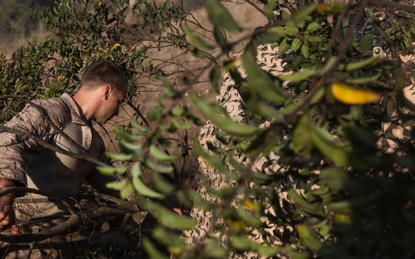 13th MEU | LAR Co. Executes an Amphibious Assault