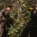 A military service member in camouflage uniform is working among dense brush and tree branches in an outdoor, hilly terrain. The soldier appears to be handling or moving branches, possibly constructing a concealed position or clearing vegetation. A second person in camouflage is partially visible in the background.