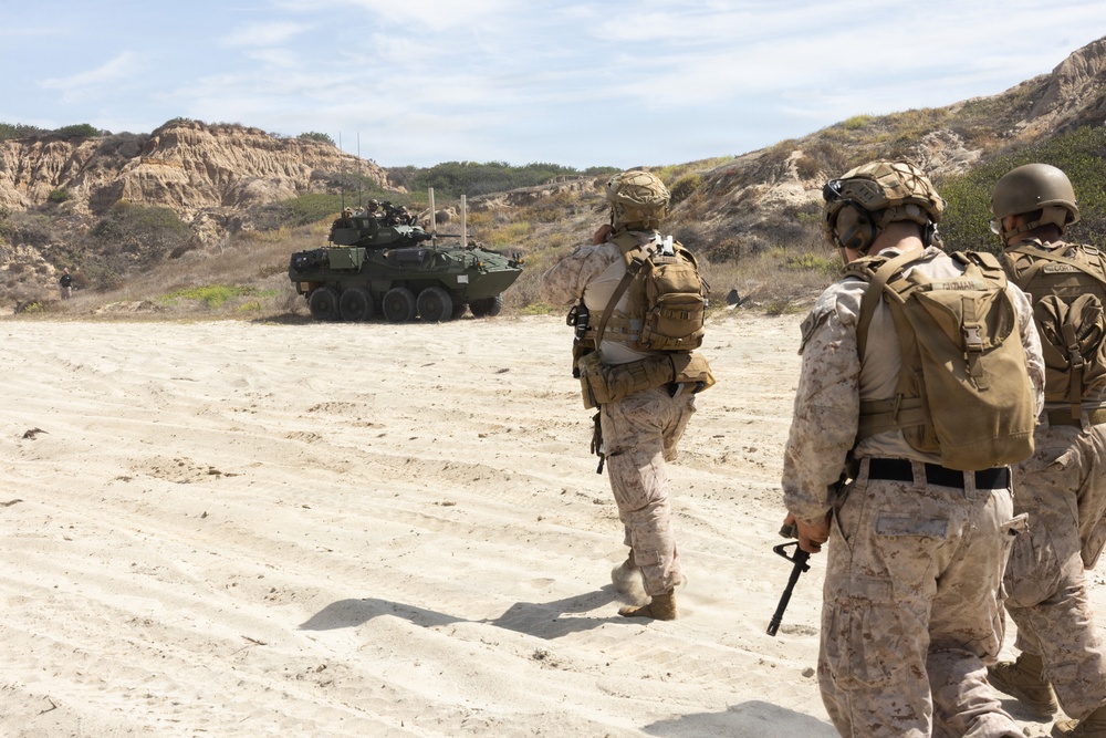 Three military personnel in desert camouflage uniforms and tactical gear are walking across a sandy terrain toward a Light Armored Vehicle (LAV), likely an LAV-25 or Stryker-type wheeled armored vehicle. The setting appears to be a coastal training area with sandy bluffs and scrub vegetation visible in the background. The scene is consistent with a military training exercise.