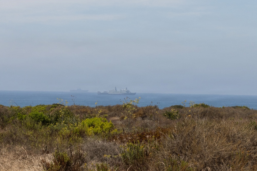 A coastal scene photographed from a low dune or scrubland area, showing a hazy ocean horizon with what appears to be one or more large naval or military vessels visible in the distance. The foreground is dominated by dry scrub vegetation typical of a Mediterranean or coastal chaparral environment. Atmospheric haze or sea fog significantly reduces visibility of the ships.