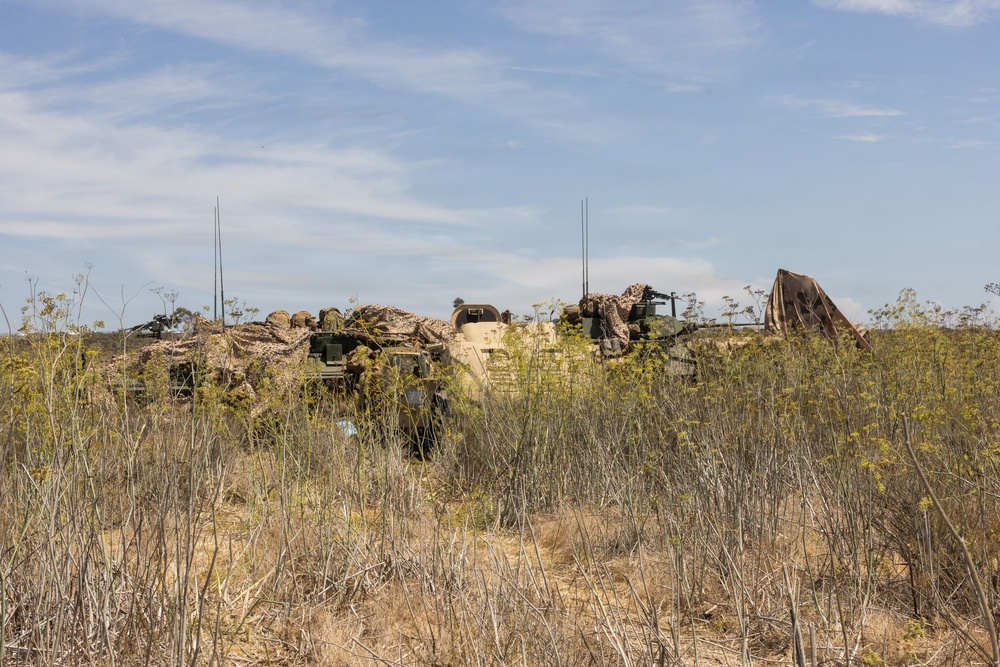 The image shows military vehicles partially concealed by camouflage netting in a dry, scrubby field. Multiple armored vehicles are positioned together with radio antennas extending vertically, suggesting a command or tactical position. The vehicles are heavily draped with camouflage material to blend into the surrounding terrain.