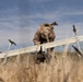 A military service member in desert camouflage (MARPAT pattern) is crouched over a fixed-wing unmanned aerial vehicle (UAV) in an open field of dry grass. The individual appears to be preparing, assembling, or inspecting the drone prior to or following a flight operation. The setting appears to be an arid training environment with hills visible in the background.