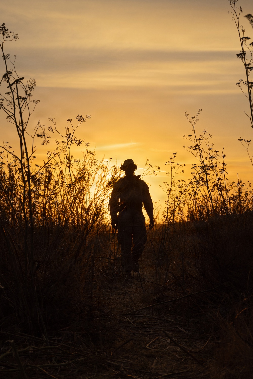 A silhouetted figure walks away from the camera along a narrow dirt path through dry grassland and tall weeds during golden hour. The warm orange and yellow sunset sky creates a dramatic backlit effect, rendering the person and surrounding vegetation as dark silhouettes. The figure appears to be carrying equipment, possibly a backpack and a long implement such as a rifle or walking staff.