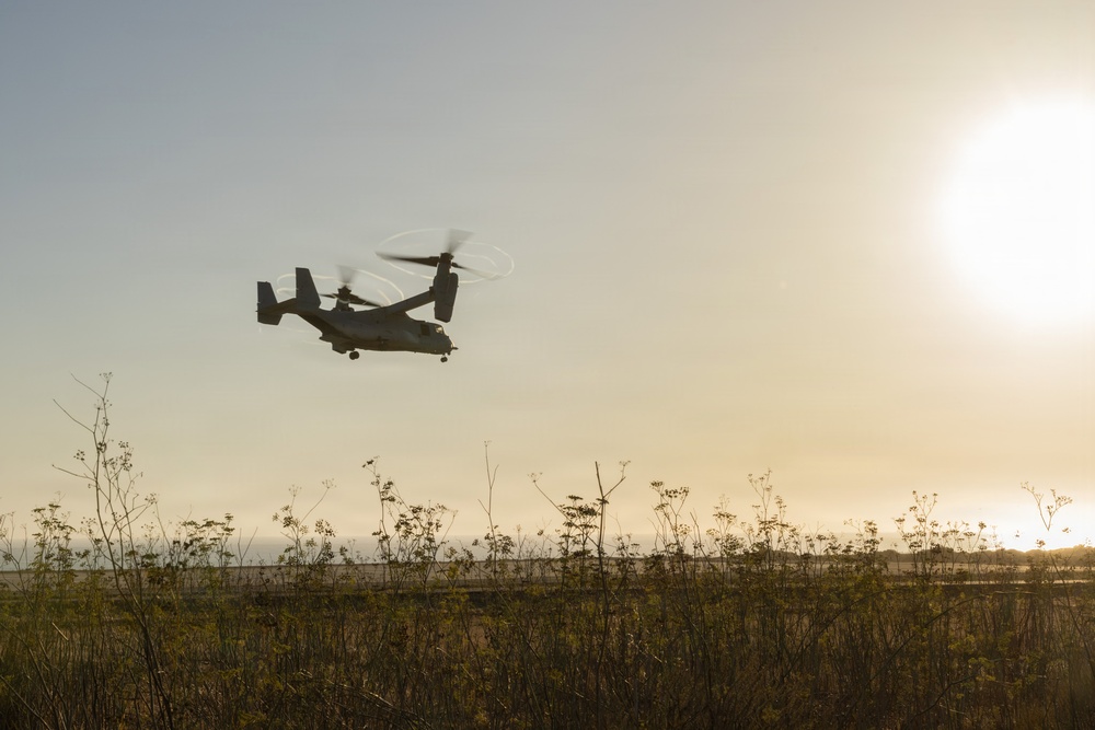 A tiltrotor aircraft, identifiable as a V-22 Osprey, is captured in low-altitude flight over an open field with sparse vegetation. The image is taken during golden hour or late afternoon, with the sun visible in the upper right creating a backlit silhouette effect. The rotors are visibly spinning, indicated by motion blur forming circular arcs above the nacelles.