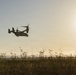 A tiltrotor aircraft, identifiable as a V-22 Osprey, is captured in low-altitude flight over an open field with sparse vegetation. The image is taken during golden hour or late afternoon, with the sun visible in the upper right creating a backlit silhouette effect. The rotors are visibly spinning, indicated by motion blur forming circular arcs above the nacelles.