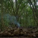 A group of military personnel are resting in a dense tropical forest clearing, with their olive-drab/tan tactical backpacks and gear piled on the ground in the foreground. A small fire or cooking source is visible in the middle distance, producing a thin column of smoke rising through the forest canopy. The scene appears to be a field halt or bivouac during a jungle training exercise or operation.