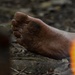 A close-up photograph of a bare, dirty human foot resting on rocky ground in an outdoor setting. The foot appears heavily soiled with dirt and grime, suggesting prolonged barefoot activity outdoors. A blurred flame or fire source is visible in the foreground right side of the frame.