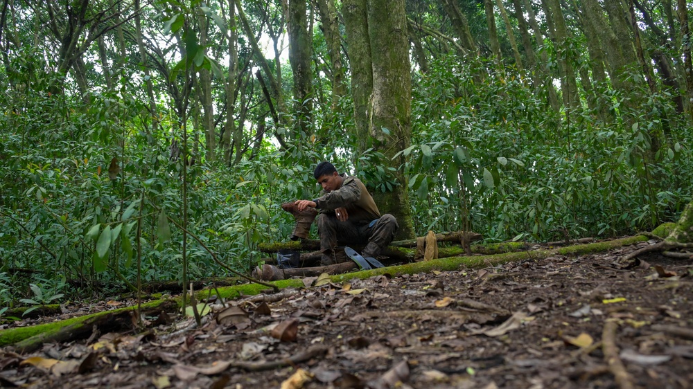 A person is seated on moss-covered fallen logs in a dense tropical or subtropical forest. The individual appears to be resting or working on something with their hands, surrounded by lush green vegetation and tall trees. The low-angle ground-level shot emphasizes the forest floor covered in dry leaves and exposed roots.