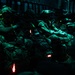 A group of heavily equipped military personnel are seated inside what appears to be a military transport aircraft, illuminated by green and red chemical light sticks (chemlights). The soldiers are wearing full tactical gear including helmets with night vision device mounts, body armor, and carrying large rucksacks. The dark, low-light environment and equipment configuration suggest a pre-jump or insertion preparation scenario.