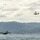 U.S. Marines, JMSDF Sailors reinforce maritime readiness during Rescue Flag 26-1 The image shows two distinct military aircraft over a calm body of water with green mountainous terrain in the background. A large flying boat/seaplane is resting on the water surface, while a tiltrotor aircraft (consistent with a V-22 Osprey type) is airborne in the upper right. Several small watercraft are also visible on the water near the seaplane.