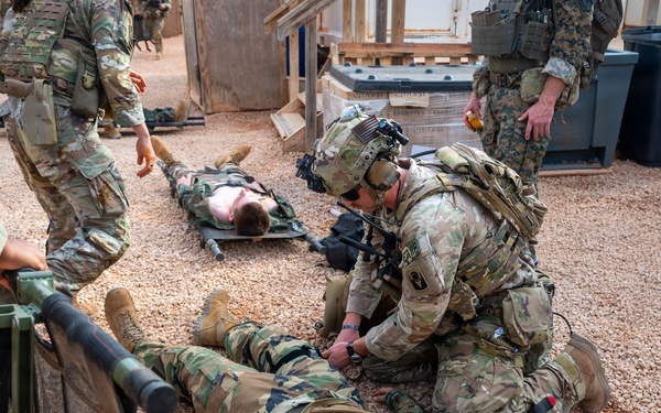 Military personnel are conducting a combat casualty care or medical evacuation training exercise. Soldiers in OCP (Operational Camouflage Pattern) uniforms are treating simulated casualties wearing MARPAT (Marine Pattern) uniforms lying on a gravel surface. A litter/stretcher is visible, and multiple 'casualties' are positioned on the ground in what appears to be a controlled training environment.