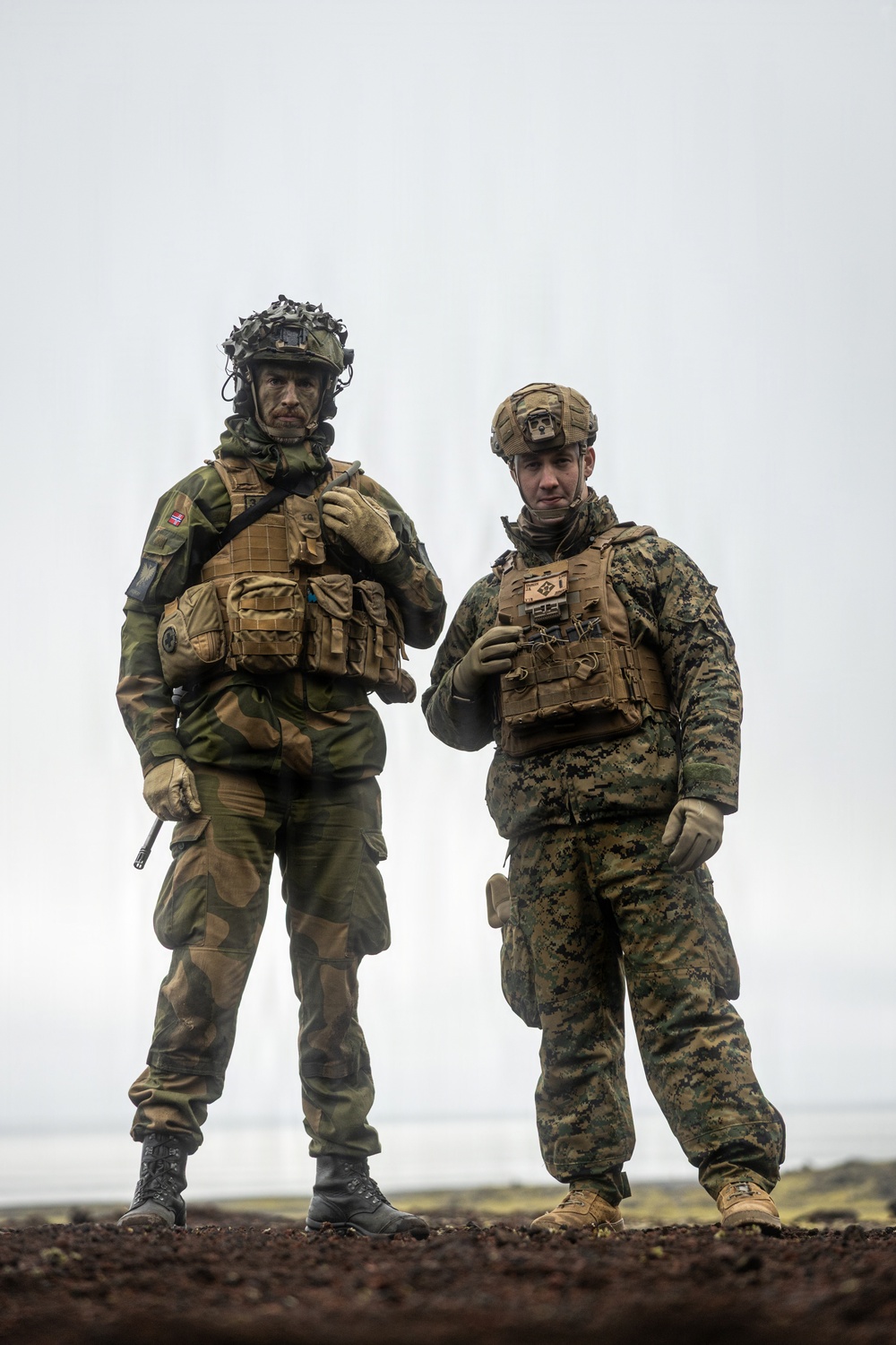 Two military personnel in full combat gear stand side by side on elevated terrain against an overcast sky. The left individual wears a woodland camouflage pattern uniform with a Norwegian flag patch visible on the shoulder, while the right individual wears MARPAT (Marine Pattern) digital camouflage consistent with U.S. Marine Corps uniforms. Both are equipped with tactical plate carriers, helmets with mounted accessories, and gloves, suggesting a joint multinational military exercise or operation.