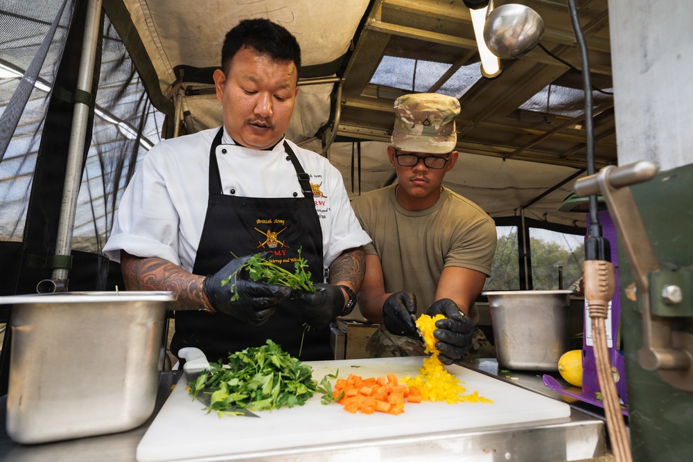 16th Sustainment Brigade Stirrup and Whisk