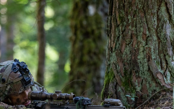 Saber Junction 26 Soldier Provides Security