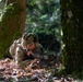 A U.S. Army soldier in full MultiCam camouflage is positioned prone on a forest floor between moss-covered trees, aiming a light machine gun with a bipod deployed. The soldier is wearing a helmet adorned with camouflage netting and vegetation for concealment. The setting appears to be a training exercise in a temperate deciduous forest environment.