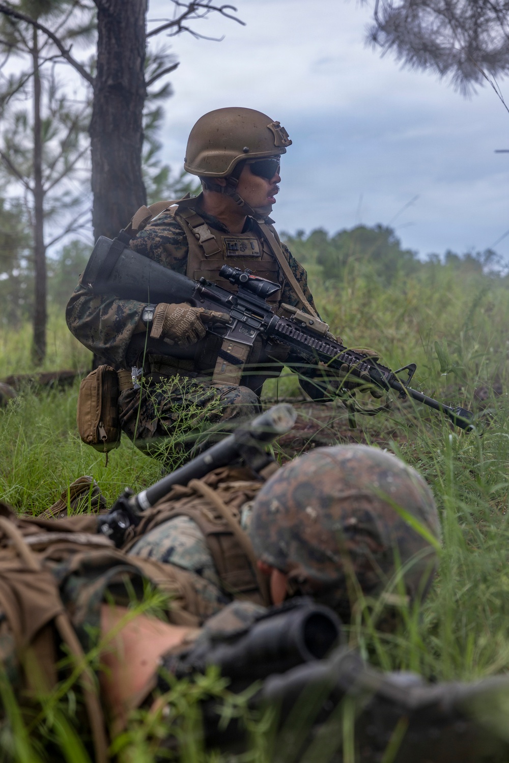 Two military personnel in MARPAT (Marine pattern) camouflage uniforms are positioned in a grassy, wooded area during what appears to be a field training exercise. The standing/kneeling Marine holds an M4-style carbine with optics and is scanning the surroundings, while a second Marine is prone in the foreground with a scoped rifle. The setting and equipment are consistent with U.S. Marine Corps field operations or training.