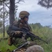Two military personnel in MARPAT (Marine pattern) camouflage uniforms are positioned in a grassy, wooded area during what appears to be a field training exercise. The standing/kneeling Marine holds an M4-style carbine with optics and is scanning the surroundings, while a second Marine is prone in the foreground with a scoped rifle. The setting and equipment are consistent with U.S. Marine Corps field operations or training.