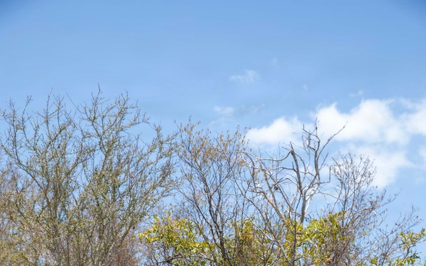 Combat Hunter: Sharpening Skills in the Field