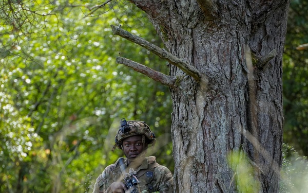 A soldier in full camouflage uniform and tactical helmet is positioned behind a large tree trunk in a dense woodland environment. The soldier is holding a rifle and appears to be in a tactical observation or patrol posture. The image captures a military field exercise or operational scenario in a forested setting.