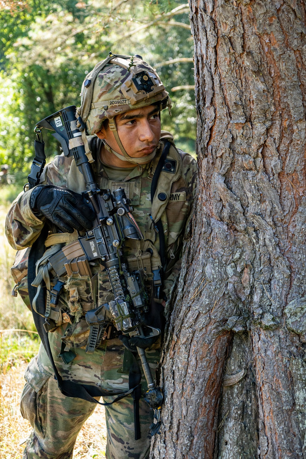 A U.S. Army soldier in full combat gear is taking cover behind a large tree trunk in a wooded training environment. The soldier is wearing OCP (Operational Camouflage Pattern) uniform and helmet with identifier '2CG9077' visible, and is holding an M4-style carbine rifle. The image appears to depict a field training exercise based on the MILES/training equipment visible on the weapon and helmet.
